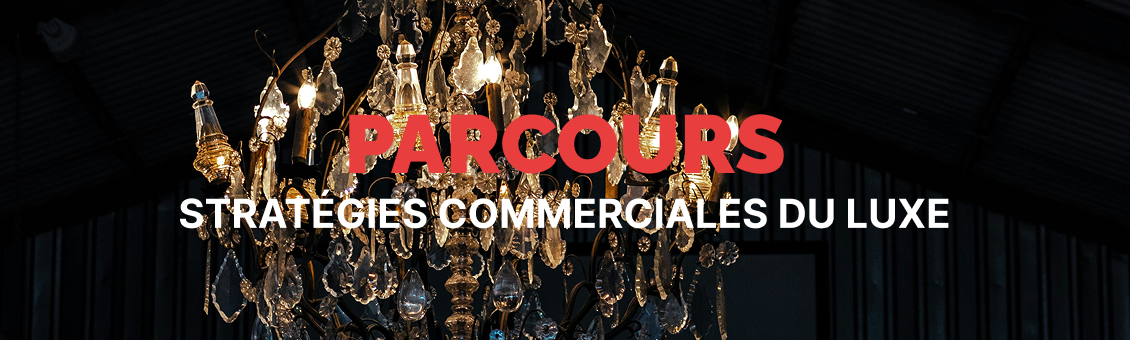 Stratégies commerciales du luxe
